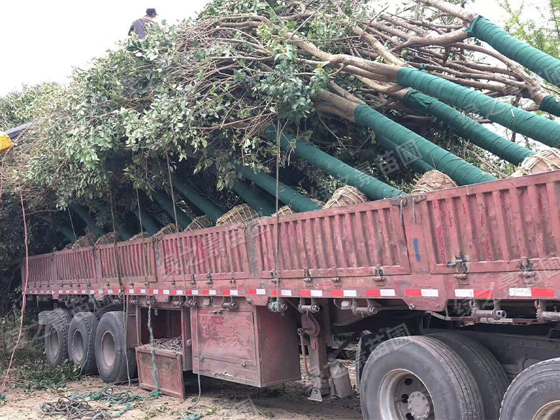 發貨現場